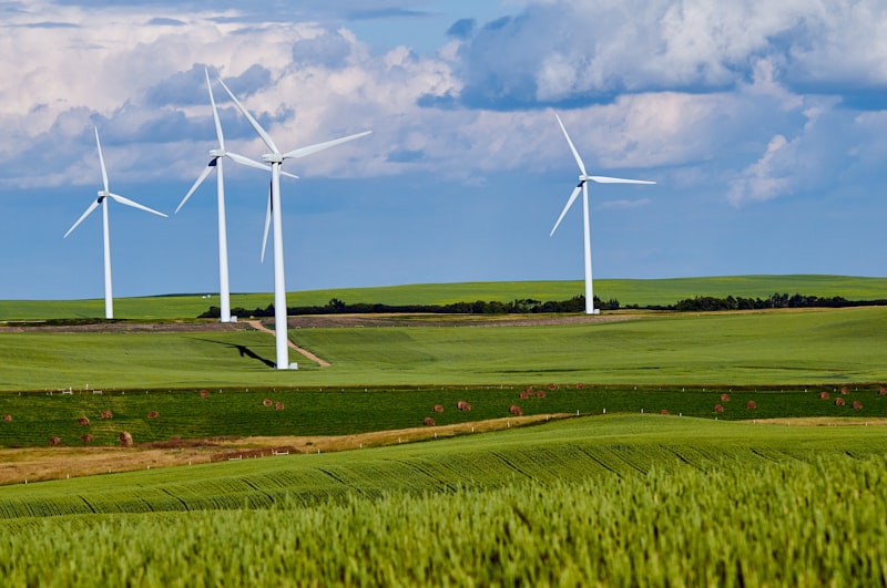 Vindmøller på en grøn mark - vedvarende energi i Danmark